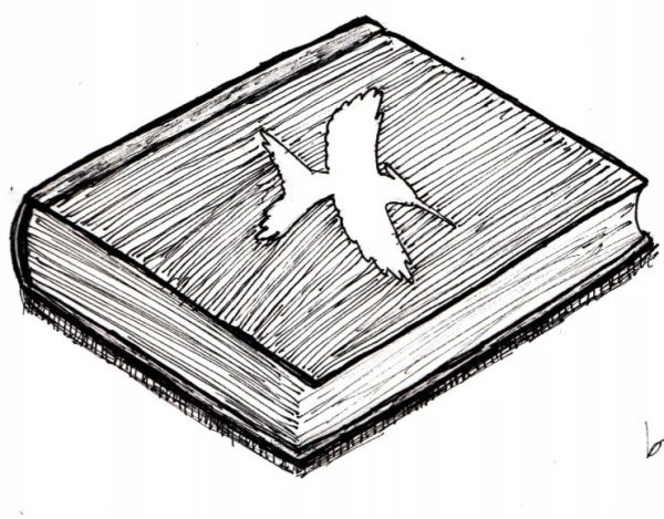 Книжка рисунок для срисовки