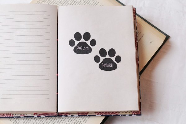 Книга рисунок карандашом для срисовки