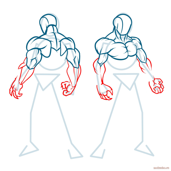 Мускулы для рисования