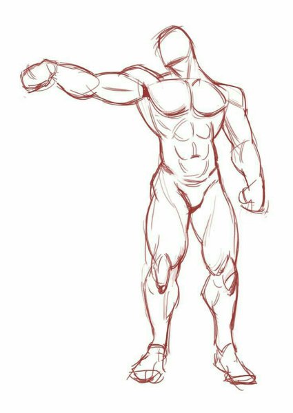 Мускулы для рисования