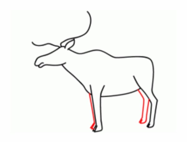 Поэтапное рисование лося