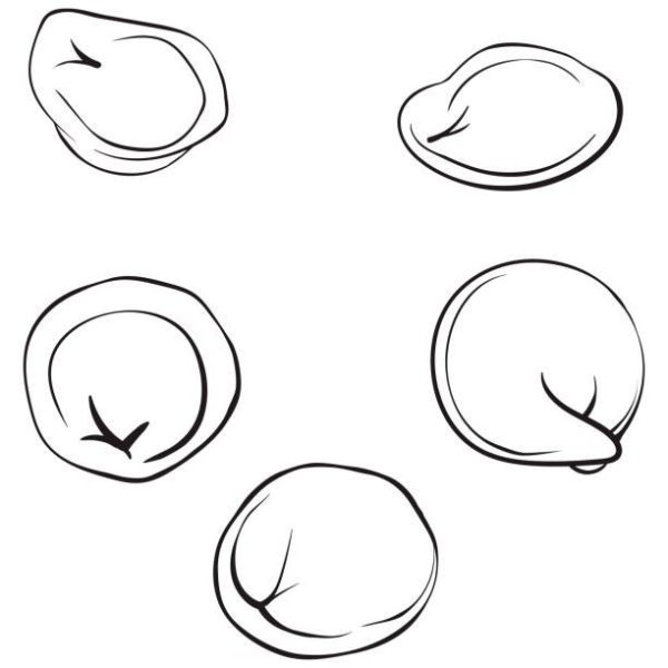 Пельмешки нарисованные