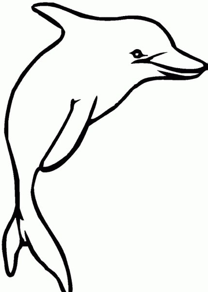 Млекопитающие раскраска