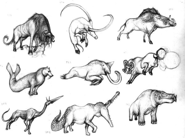 Лапы млекопитающих