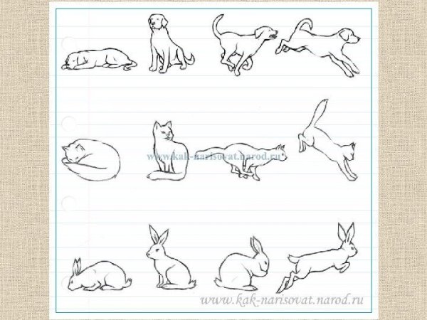 Рисунок животное вмдвижении
