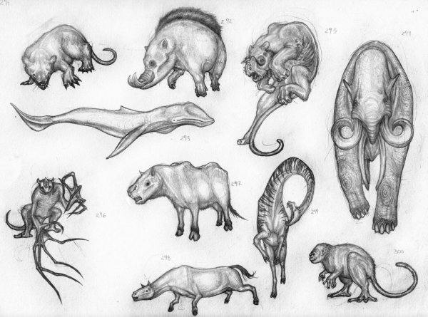 Зарисовки млекопитающих