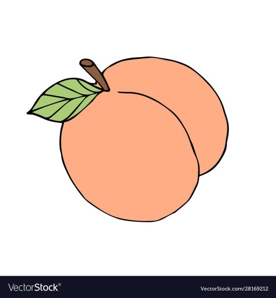 Персик для срисовки