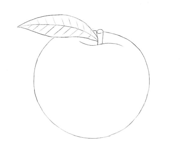 Персик карандашом