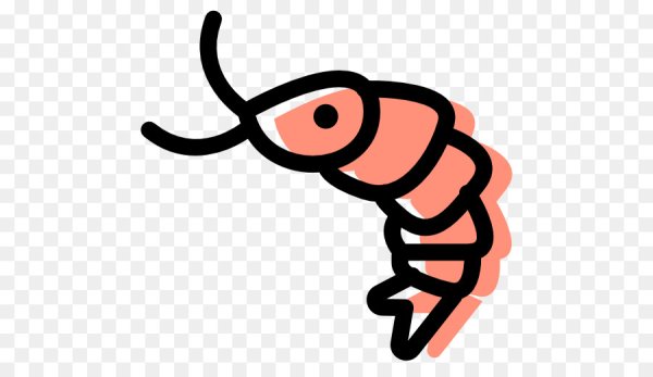 Креветка рисунок