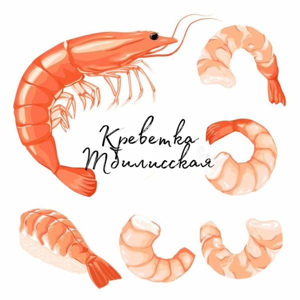 Креветка нарисованная