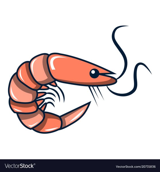 Креветка нарисованная тик ток