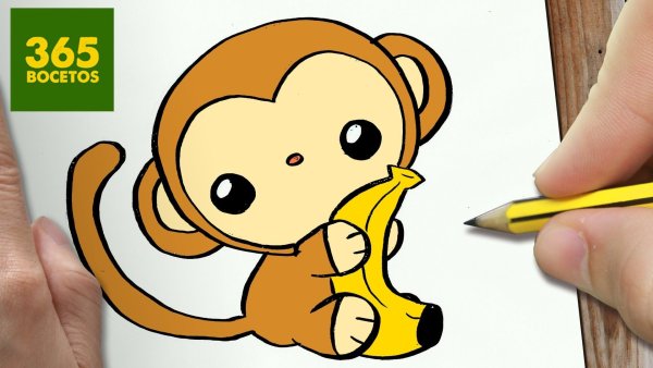 Рисунки 365 bocetos