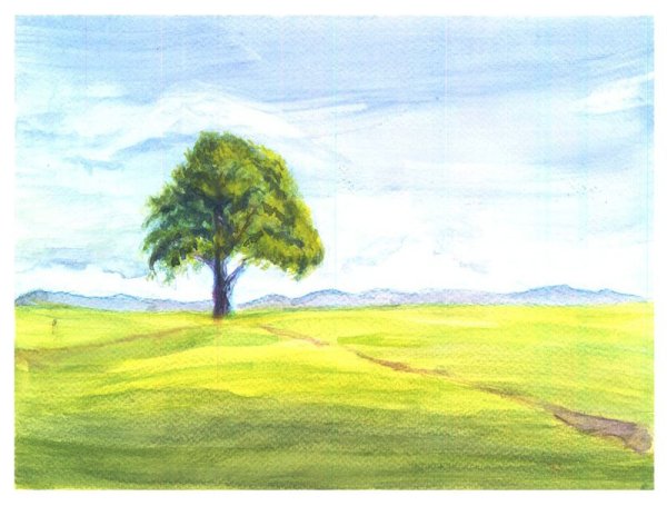 Рисунки природы