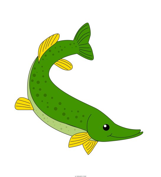 Щука картинка для детей