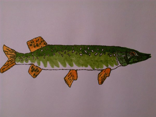 Рыба карандашом щука