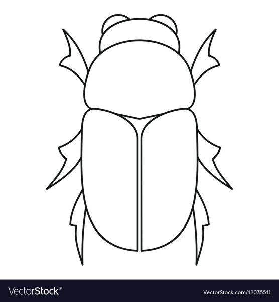 Майский Жук контур