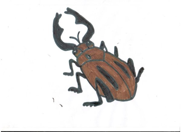 Жук трафарет