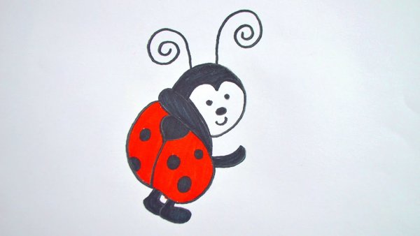 Жук навозник раскраска