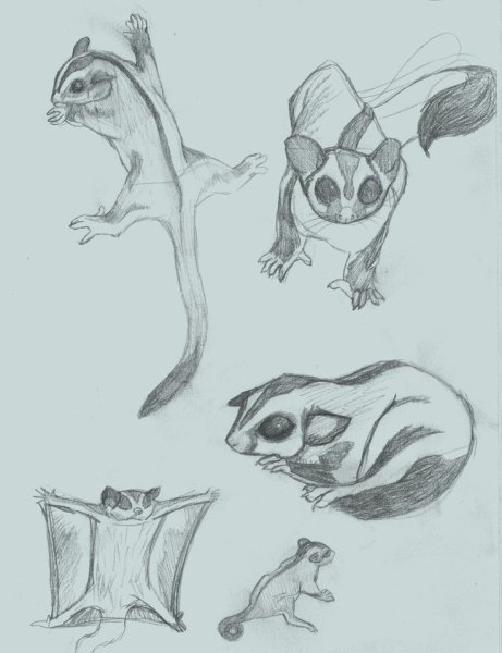 Сахарный посуман атомия