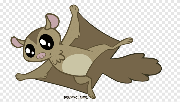 Летяга раскраска