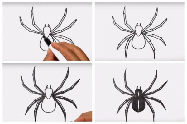 Паук поэтапное рисование