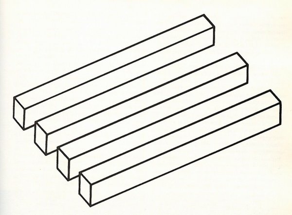 Иллюзия с палочками