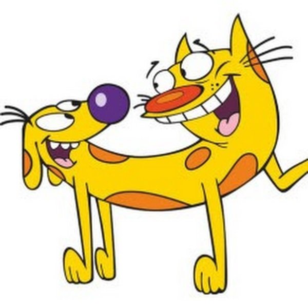 Котопес пес