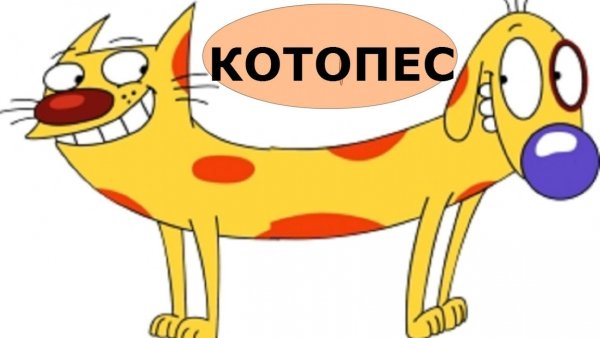 Реалистичный Котопес