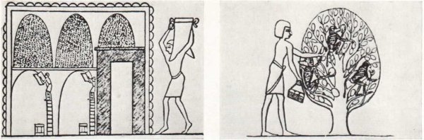 Ортогональная перспектива в живописи Египта