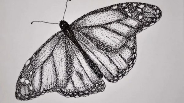 Рисование точками бабочки