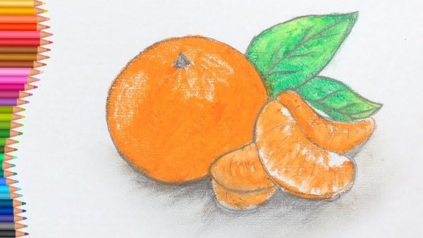 Апельсин для рисования
