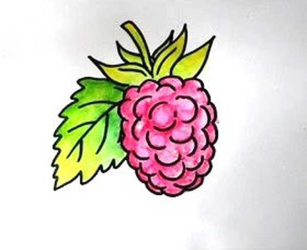 Малина рисунок для срисовки