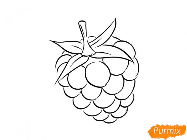 Малина рисунок для детей карандашом