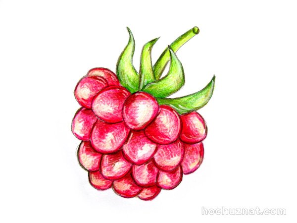 Малина нарисовать