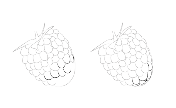 Нарисовать малину карандашом поэтапно
