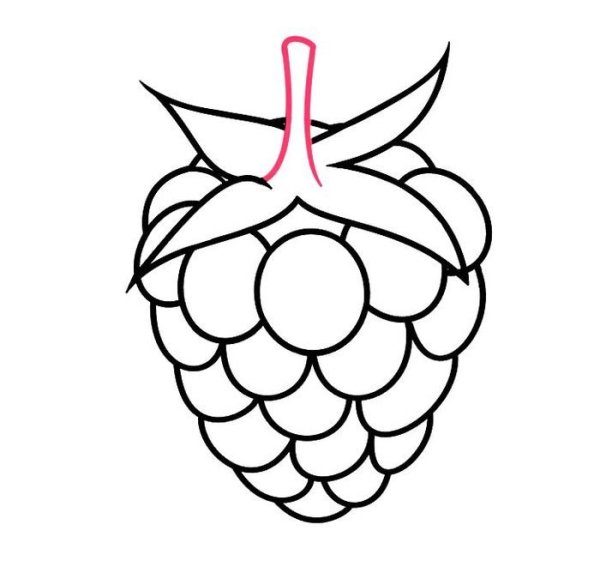 Малина раскраска для малышей