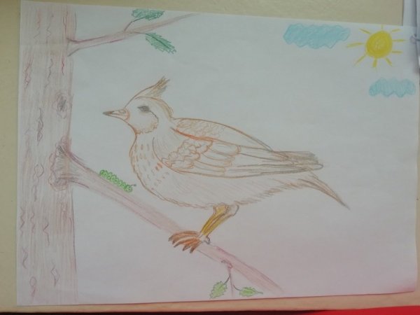 Рисование жаворонка