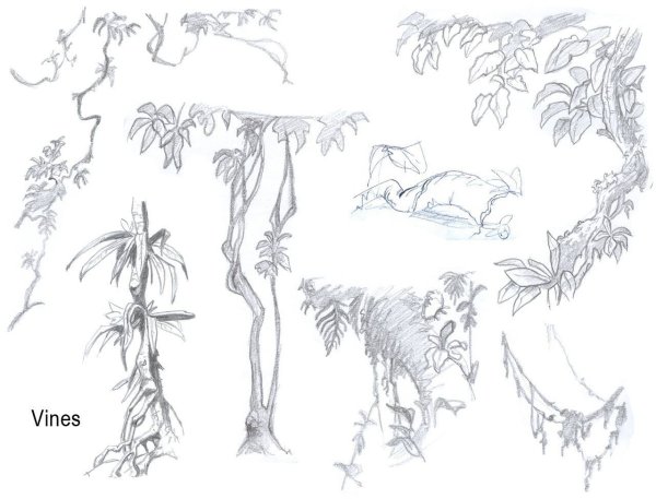 Лианы для срисовки