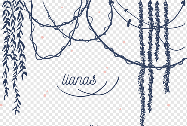 Лианы Графика