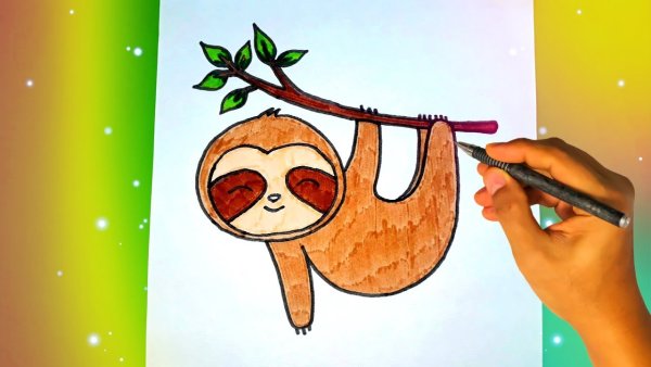 Как нарисовать ленивца