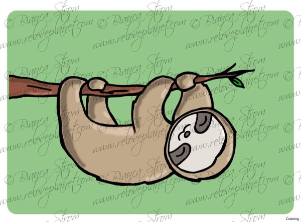 Ленивец рисунок простой