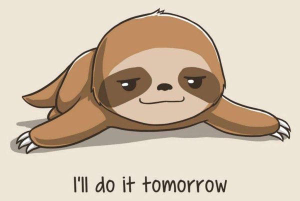 Ленивец рисунок