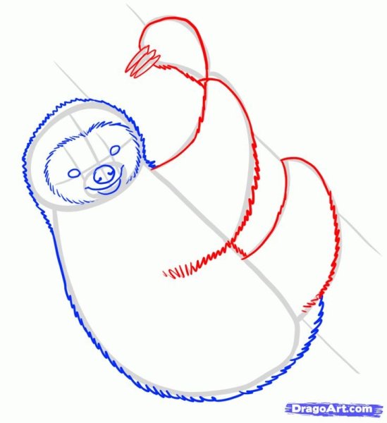 Поэтапное рисование Ленивец