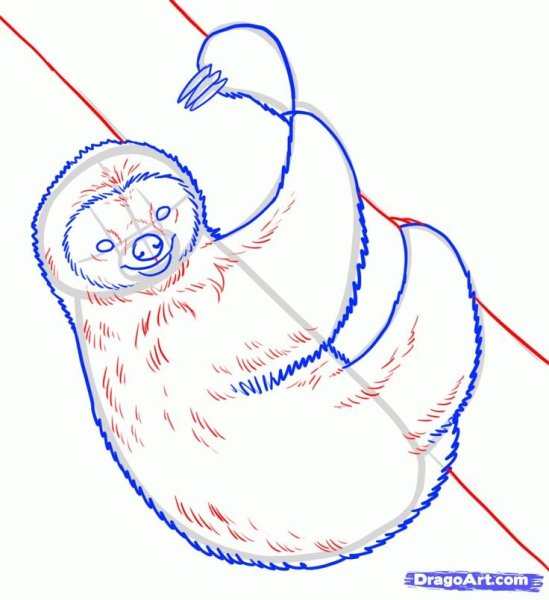 Ленивец карандашом