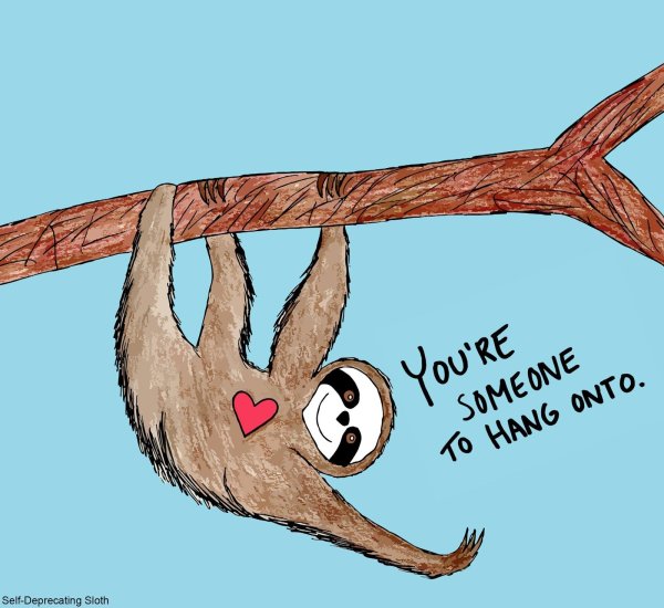 Ленивец карикатура