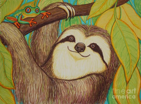 Нарисовать ленивца