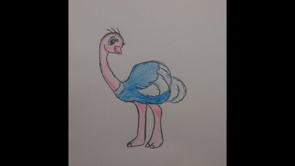 Страус рисование для детей