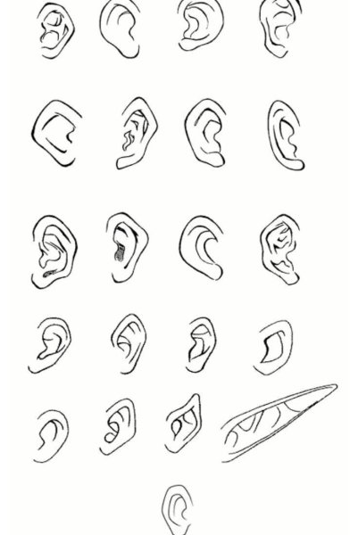 Поэтапное рисование ушей