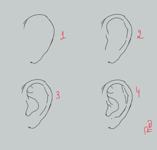 Референс уха аниме