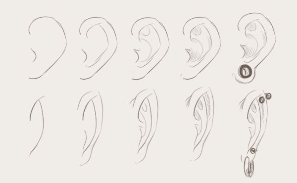 Поэтапное рисование ушей